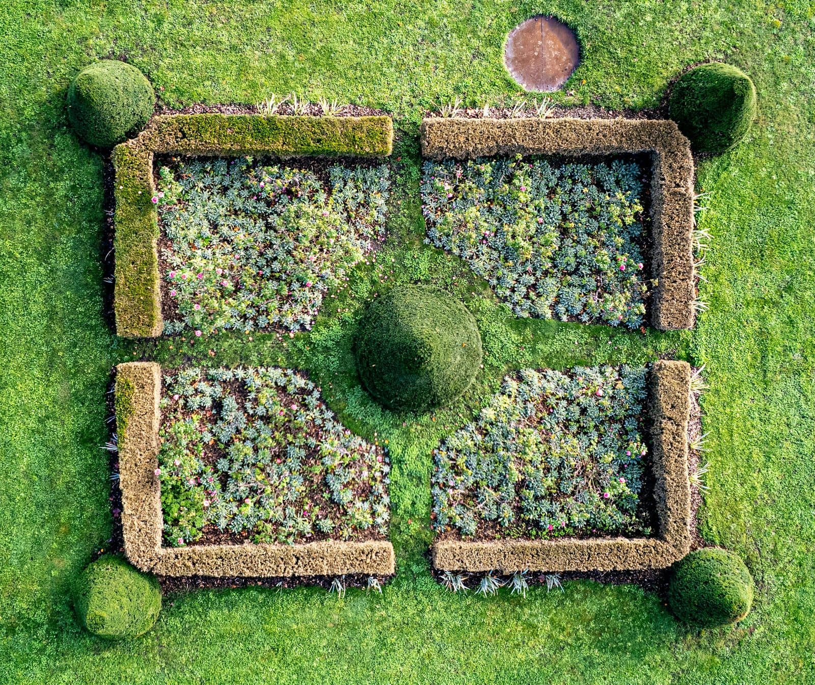 Shrub & Bed Maintenance — Surf Town Lawn Co.